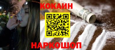стаф Гатчина