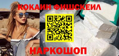 стаф Гатчина