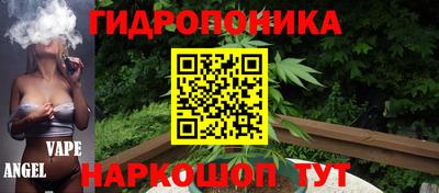 гашик Гагарин