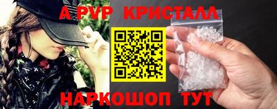 стаф Гатчина