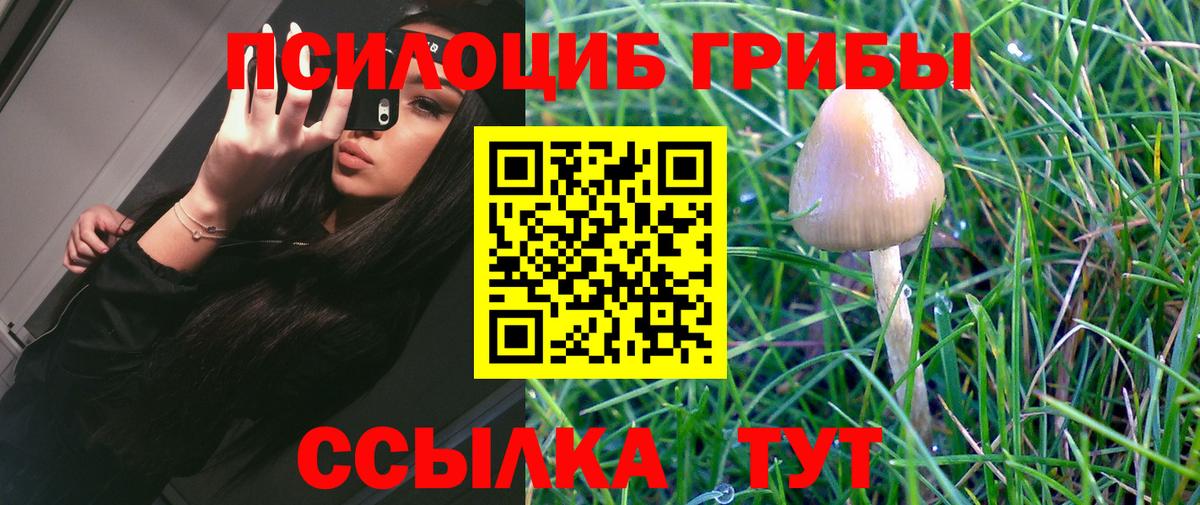 Нефтеюганск  Псилоцибиновые грибы GOLDEN TEACHER  Вход с VPN 